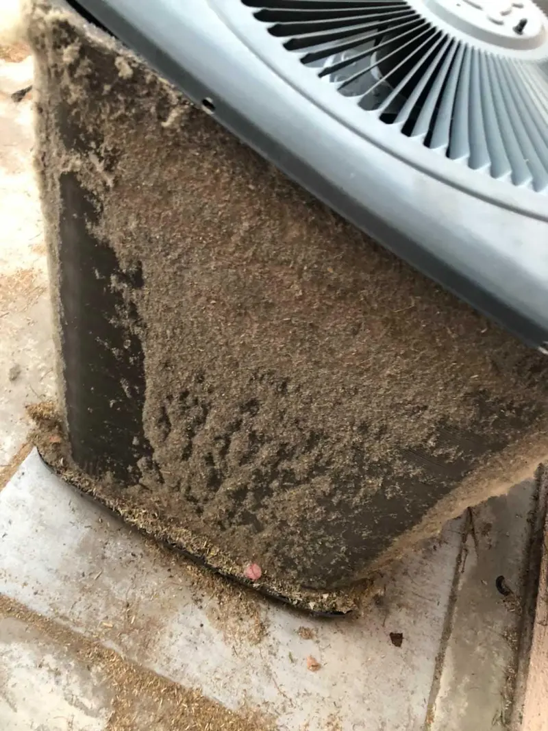Clogged condenser coil misdiagnosed as needing full HVAC replacement in Las Vegas